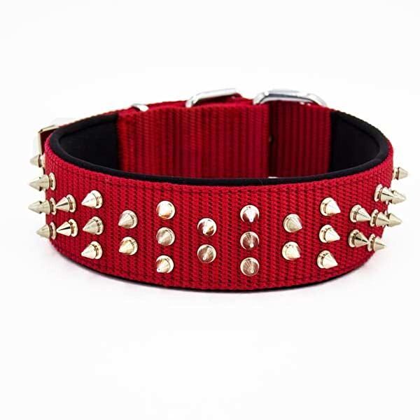 Doggie Köpek Tasmaları