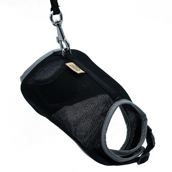 Cattie Kedi Tasmaları ve İsimlikler