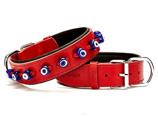 Doggie Köpek Tasmaları