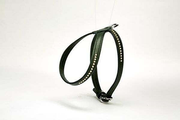 Doggie Köpek Tasmaları