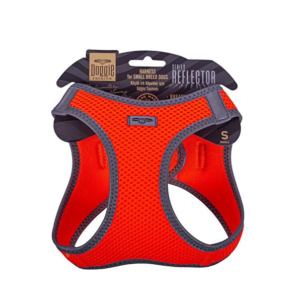 Doggie Köpek Tasmaları