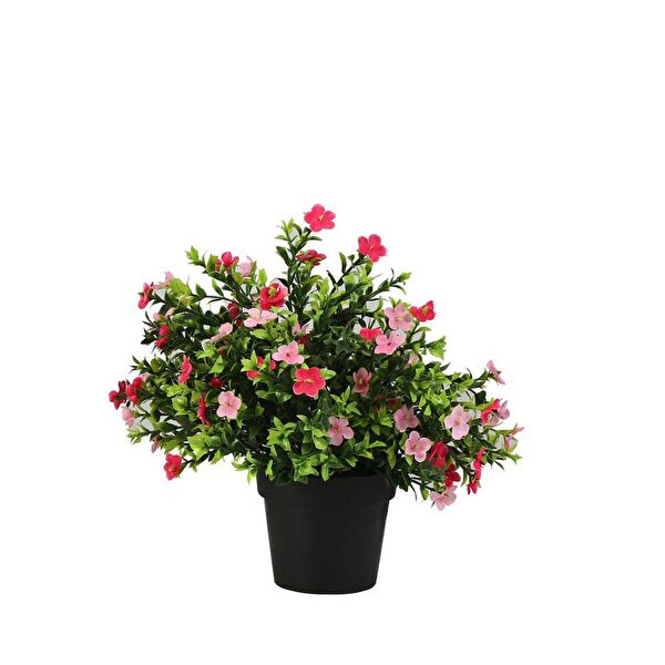 Vitale Yapay Çiçek, Meyve