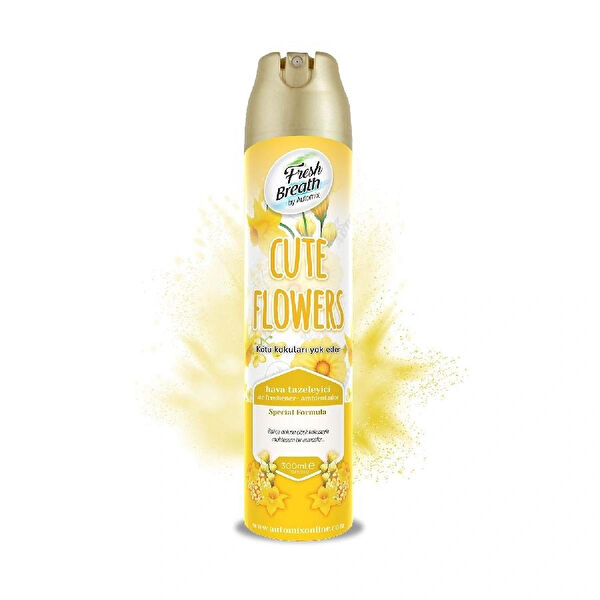 Automix Oto Kokuları