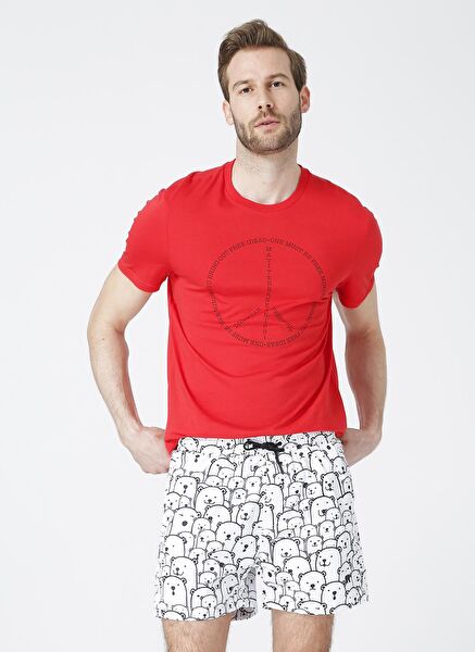 Bad Bear Erkek Deniz Şortu, Mayo