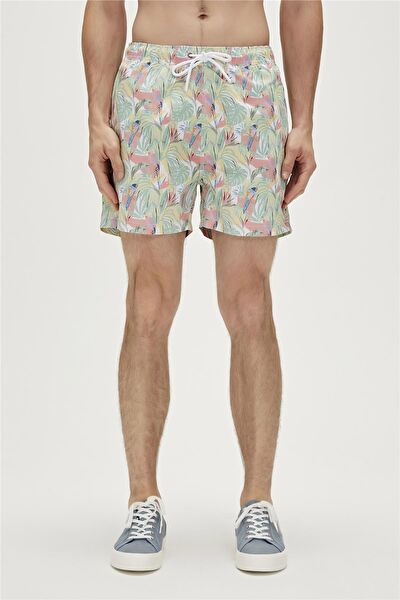 Bad Bear Erkek Deniz Şortu, Mayo