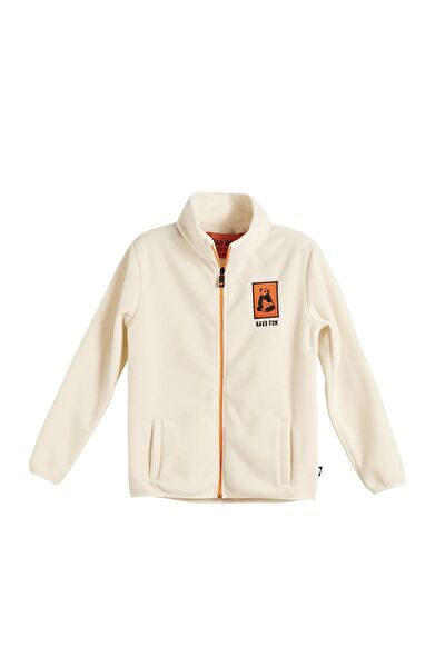 Bad Bear Erkek Çocuk Sweatshirt