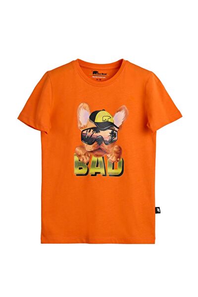 Bad Bear Erkek Çocuk Tişört