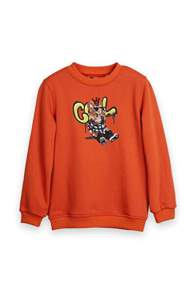 Bad Bear Erkek Çocuk Sweatshirt