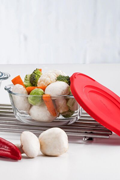 Paşabahçe Fırın Tepsisi, Borcam