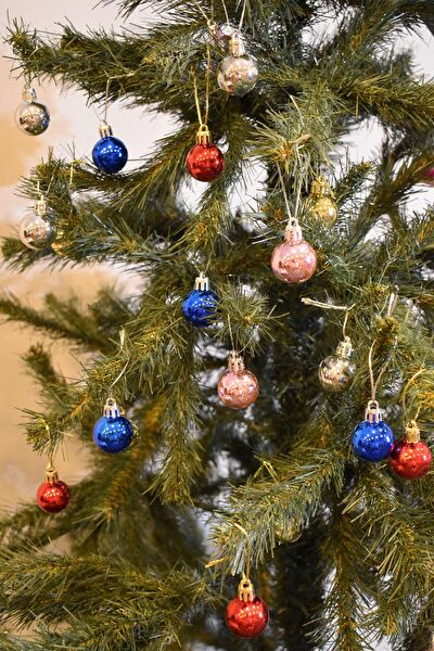 Waldern Yılbaşı Ağacı