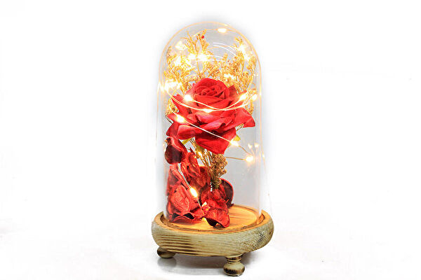 Tekinhediyelik Model Arabalar