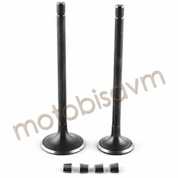 Motobisavm Krank, Piston ve Contalar