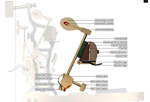 Blackshop Vurmalı Çalgı Aksesuarları