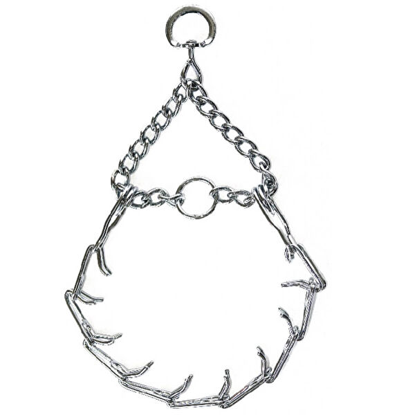 Royale Pets Köpek Tasmaları