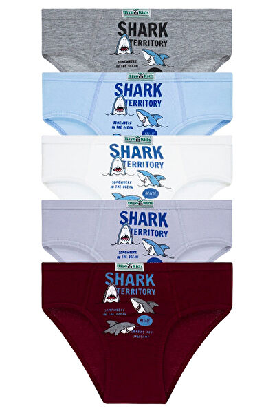 Biyokids Erkek Çocuk İç Çamaşırı