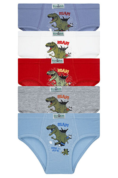 Biyokids Erkek Çocuk İç Çamaşırı