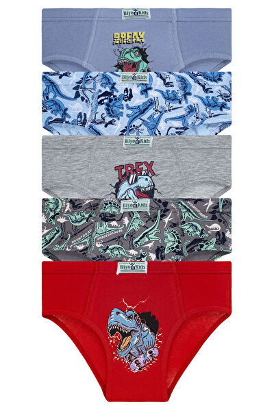 Biyokids Erkek Çocuk İç Çamaşırı