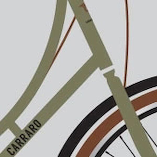 Carraro Şehir Bisikleti