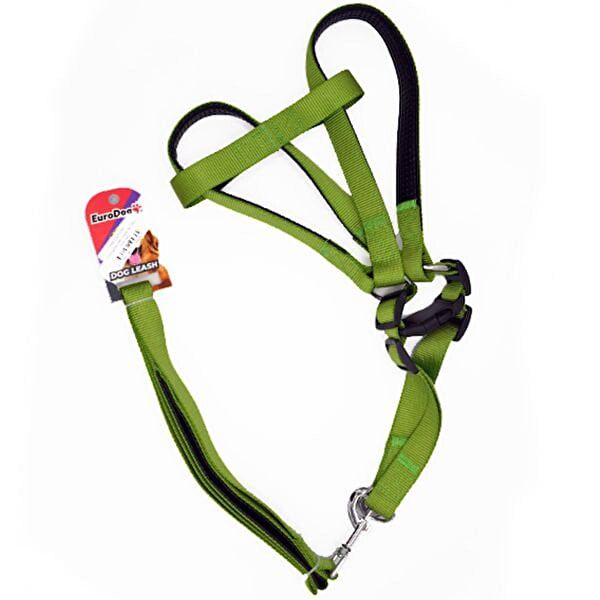 Eurodog Köpek Tasmaları