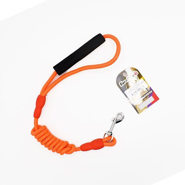 Eurodog Köpek Tasmaları