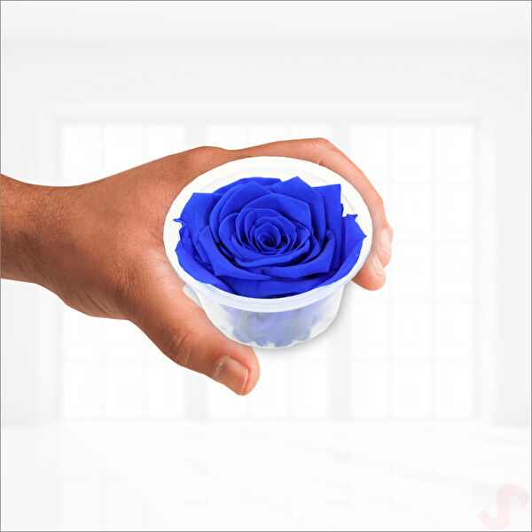 SüSLe Bebek ve Parti Yapay Çiçek, Meyve