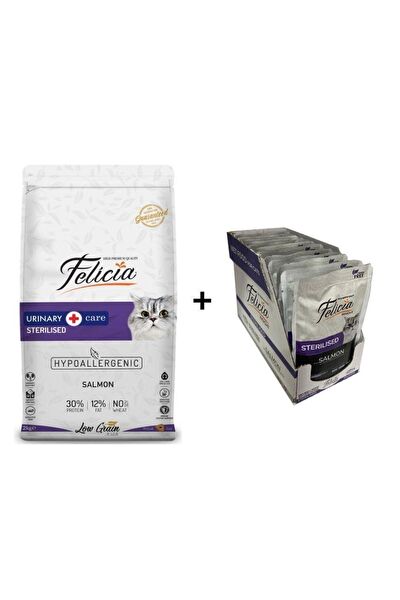 Felicia Kedi Maması