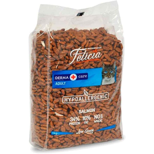 Felicia Kedi Maması