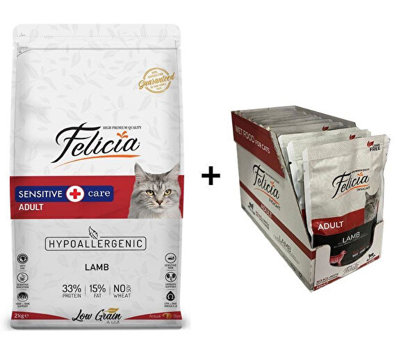 Felicia Kedi Maması