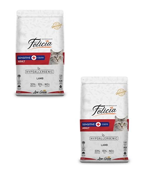 Felicia Kedi Maması