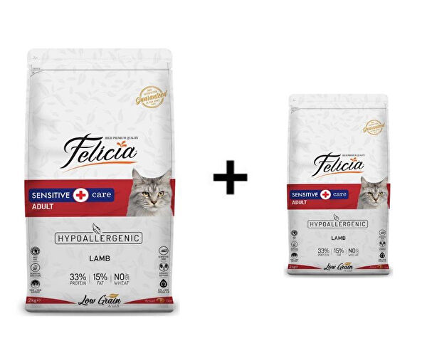 Felicia Kedi Maması