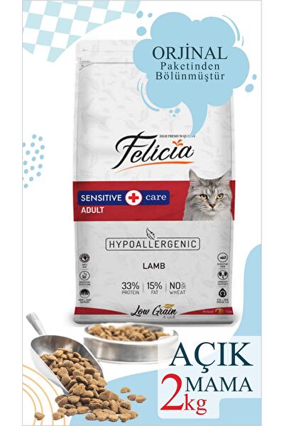 Felicia Kedi Maması