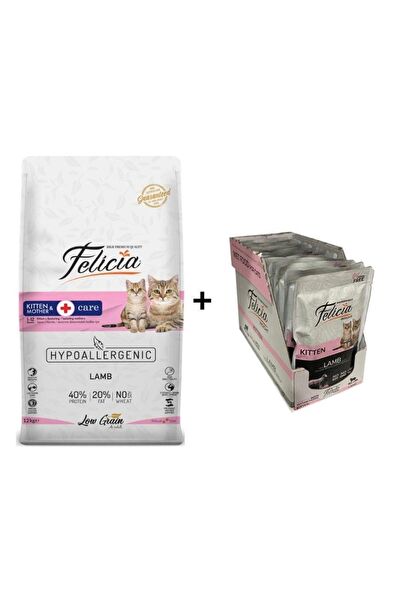 Felicia Kedi Maması