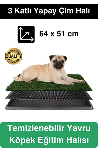 Svein Köpek Tuvaleti & Eğitim Ürünleri