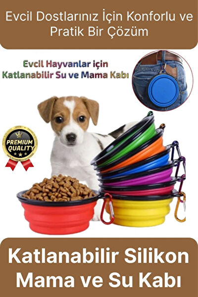 Svein Kedi Mama ve Su Kapları