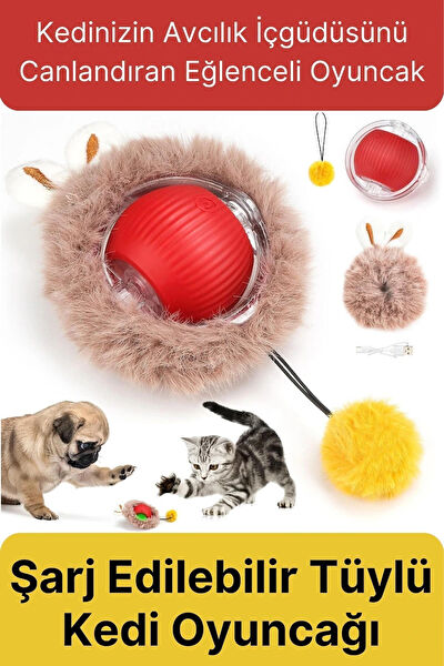 Svein Kedi Oyuncakları