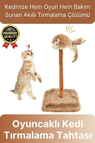 Svein Kedi Tırmalama