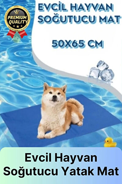 Svein Köpek Yatağı