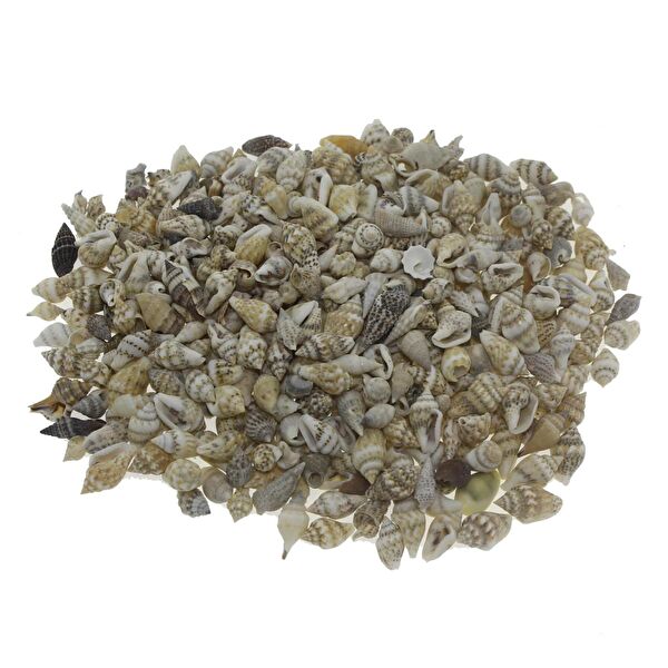 Mutlu Adım Parti Setleri ve Şekerleri