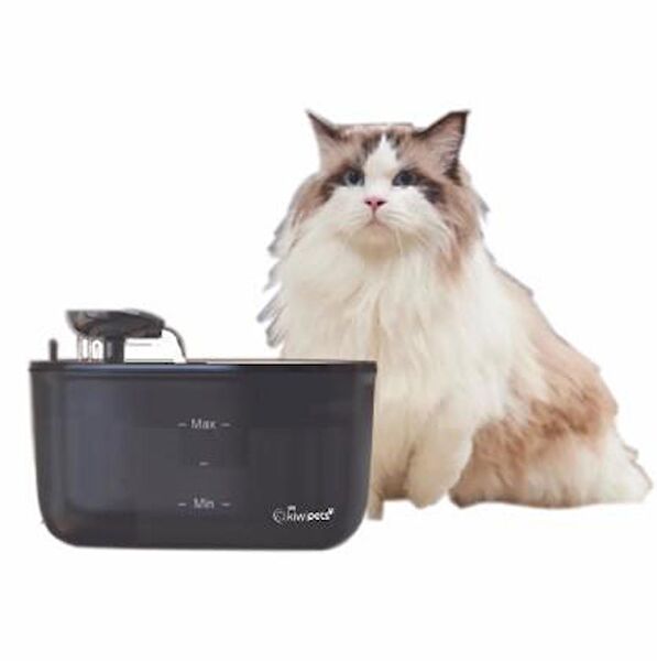 Kiwi Kedi Mama ve Su Kapları