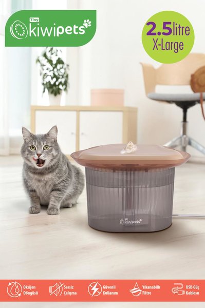 Kiwi Kedi Mama ve Su Kapları