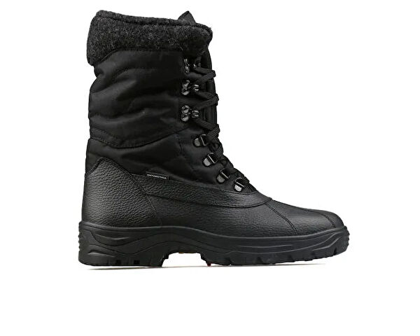 Antarctica Erkek Bot