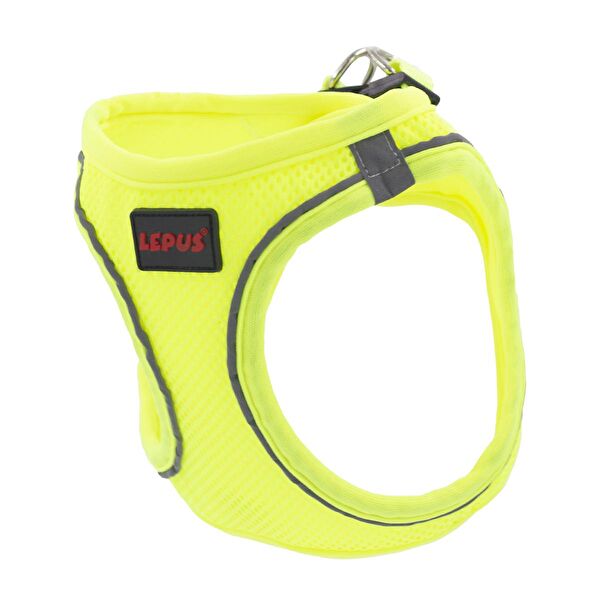 Lepus Köpek Tasmaları