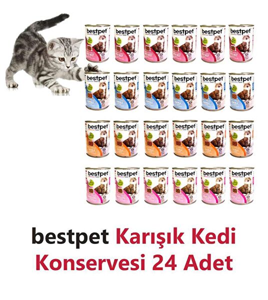 Bestpet Kedi Maması