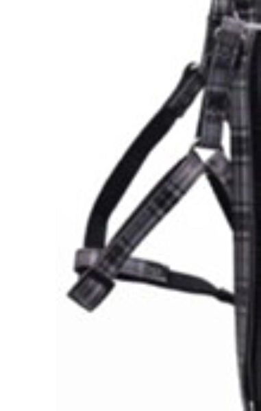 Doglife Köpek Tasmaları