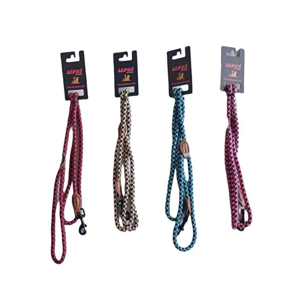 Lepus Köpek Tasmaları