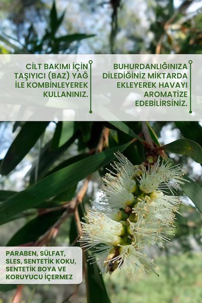 Bade Natural Oda Kokusu