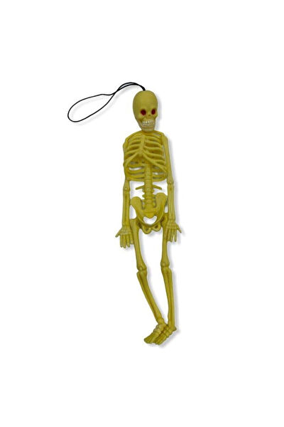 Gifted Deney Malzemeleri