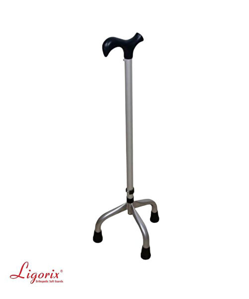 Ligorix Baston, Koltuk Değneği, Yürüteç