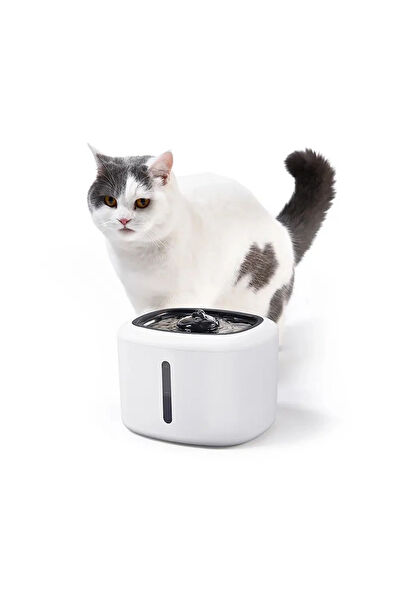 Softy Kedi Mama ve Su Kapları