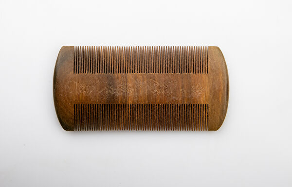 BESLENME DEDEKTİFİ Tarak, Fırça